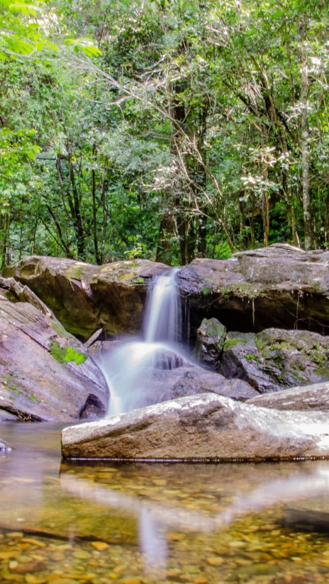 Cachoeira Encantada - Cachoeira do Rosário
