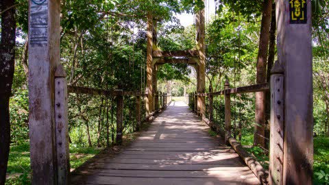 Ponte Pênsil Dona Benta em Pirenópolis Goiás