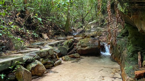 Trilha Cachoeira do Rosário