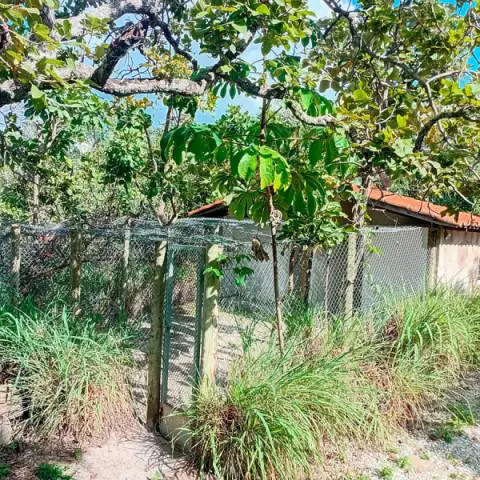 Imagem representativa: Canil Cachoeira do Ros&aacute;rio | Seu PET tamb&eacute;m vai amar a Cachoeira do Ros&aacute;rio