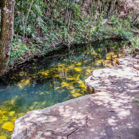 Imagem representativa: Piscina de pedra - Cachoeira do Ros&aacute;rio | Quando a natureza capricha nos detalhes