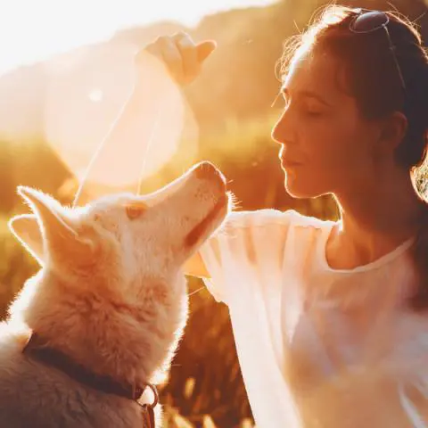 Posso levar animais para a Cachoeira do Rosário?