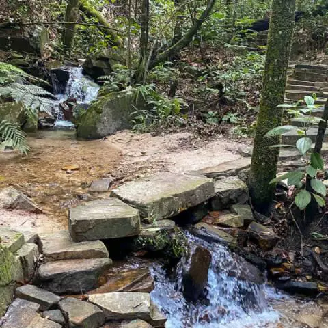 Imagem representativa: Trilha Cachoeira do Ros&aacute;rio | Conhecer