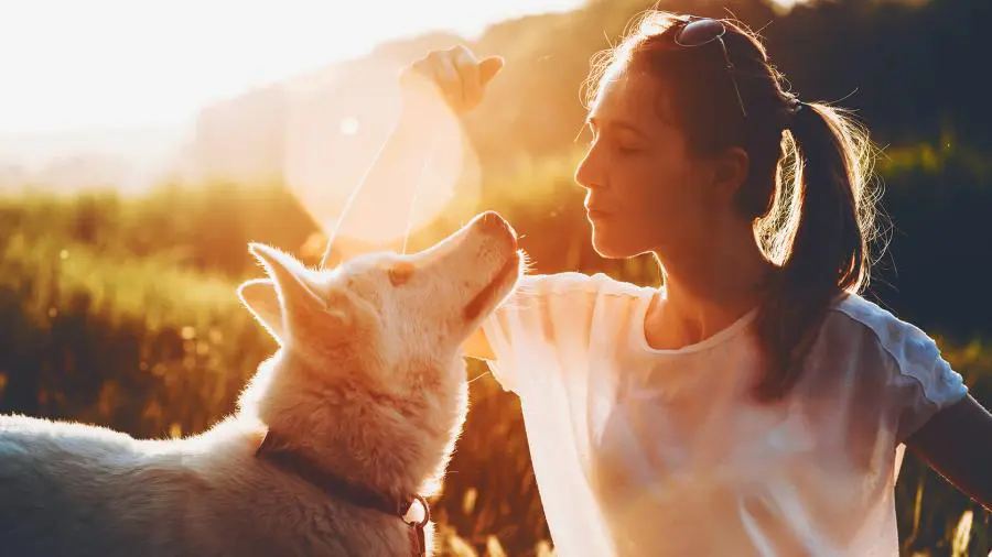 Imagem destauente: Posso levar cachorro para a Cachoeira do Ros&aacute;rio?